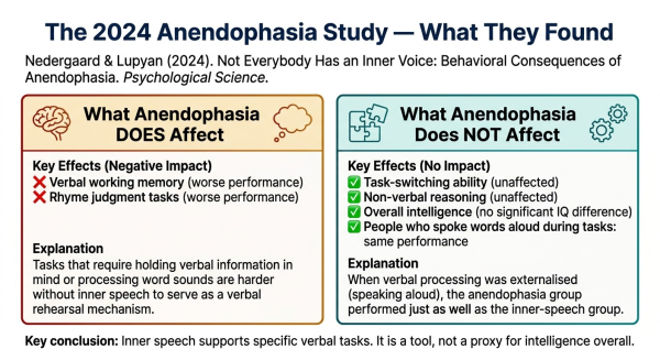Summary of the 2024 Nedergaard and Lupyan anendophasia study findings showing what cognitive tasks are affected and which are not