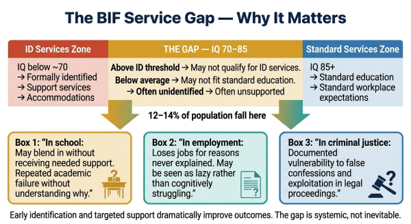 Diagram explaining the service gap for people with borderline IQ who fall between intellectual disability support thresholds and standard educational expectations
