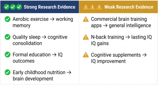 Brain training evidence comparison — what has strong research support vs weak evidence