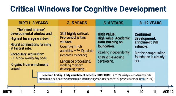 Timeline showing the critical windows of brain development and when parental enrichment activities have the greatest cognitive impact