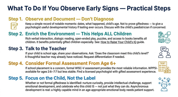Practical guide for parents who observe early signs of high IQ showing what steps to take and what to avoid in responding to a potentially gifted child