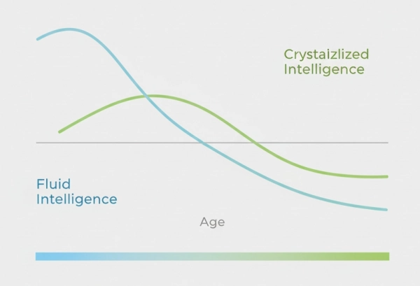 Diagram comparing fluid intelligence and crystallized intelligence across age