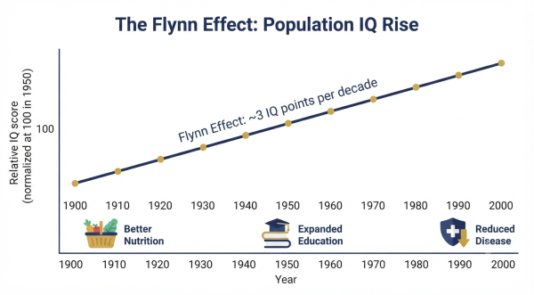 Flynn Effect diagram — IQ scores rising approximately 3 points per decade across the 20th century