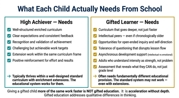 Comparison showing what high achievers need from school versus what gifted children need highlighting the different educational approaches required