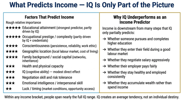Overview of the factors that predict income alongside and beyond IQ showing what explains the 95 percent of income variance not predicted by IQ