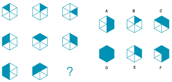 International Standard IQ Test – Culture-fair visual reasoning assessment