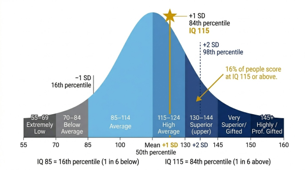 IQ 115 on the normal distribution bell curve showing its position exactly one standard deviation above the mean at the 84th percentile