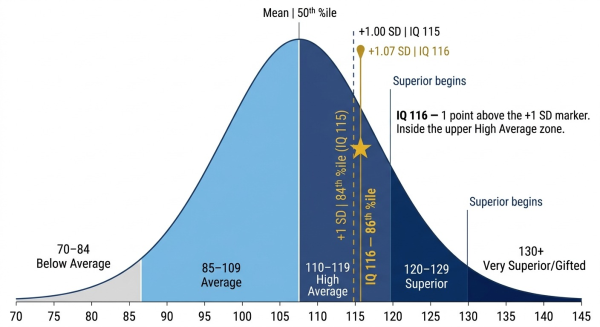 IQ 116 on the normal distribution bell curve at the 86th percentile just above the plus one standard deviation marker at IQ 115