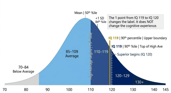 IQ 119 on the population distribution showing it as the upper boundary of the High Average range one point below the Superior classification at IQ 120