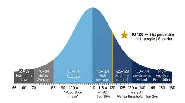 IQ 120 on the population bell curve at the 91st percentile with classification labels