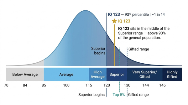 IQ 123 on population bell curve at 93rd percentile in the Superior range between IQ 120 and IQ 125