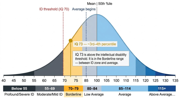 IQ 73 on the population bell curve in the Borderline range showing its position below average but above the intellectual disability threshold at IQ 70