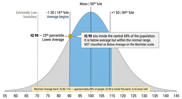 IQ 90 on the normal distribution bell curve inside the Average range at the 25th percentile showing it within the central 68 percent