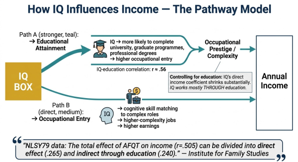Diagram showing how IQ affects income through education and occupation as intermediate pathways rather than directly