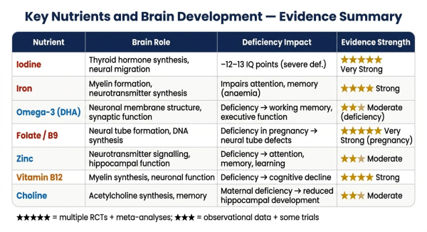 Evidence summary table showing key nutrients for brain development their role evidence strength and IQ impact estimate