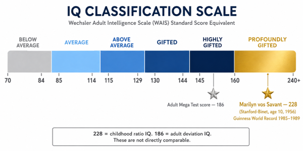 IQ 228 on the population distribution scale showing Marilyn vos Savant Guinness record position