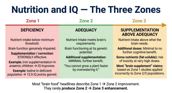 Diagram showing three zones of nutrition and cognitive performance showing deficiency correction versus adequacy versus attempted enhancement