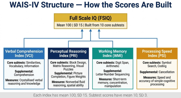 Diagram showing the WAIS-IV structure with four index scores Verbal Comprehension Perceptual Reasoning Working Memory and Processing Speed feeding into the Full Scale IQ