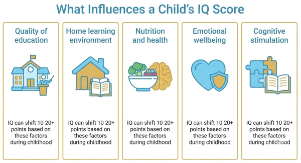 What affects a child's IQ score — education quality, home environment, nutrition, emotional wellbeing, cognitive stimulation