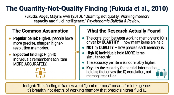Diagram explaining the Fukuda 2010 finding that it is the number of items held in working memory not precision that correlates with IQ