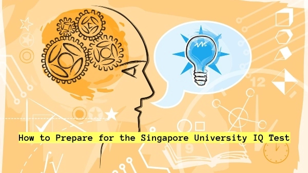 How to Prepare for the Singapore University IQ Test