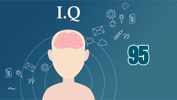 iq 95