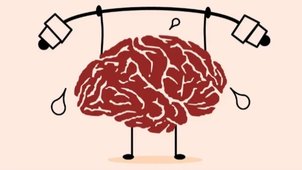 Neuroplasticity of the Brain