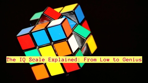 The IQ Scale Explained: From Low to Genius